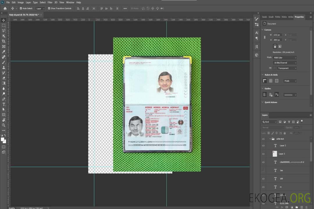 Nouveau photolook du passeport norvégien 2021-présent template Nouveau photolook du passeport norvégien 2021-présent template